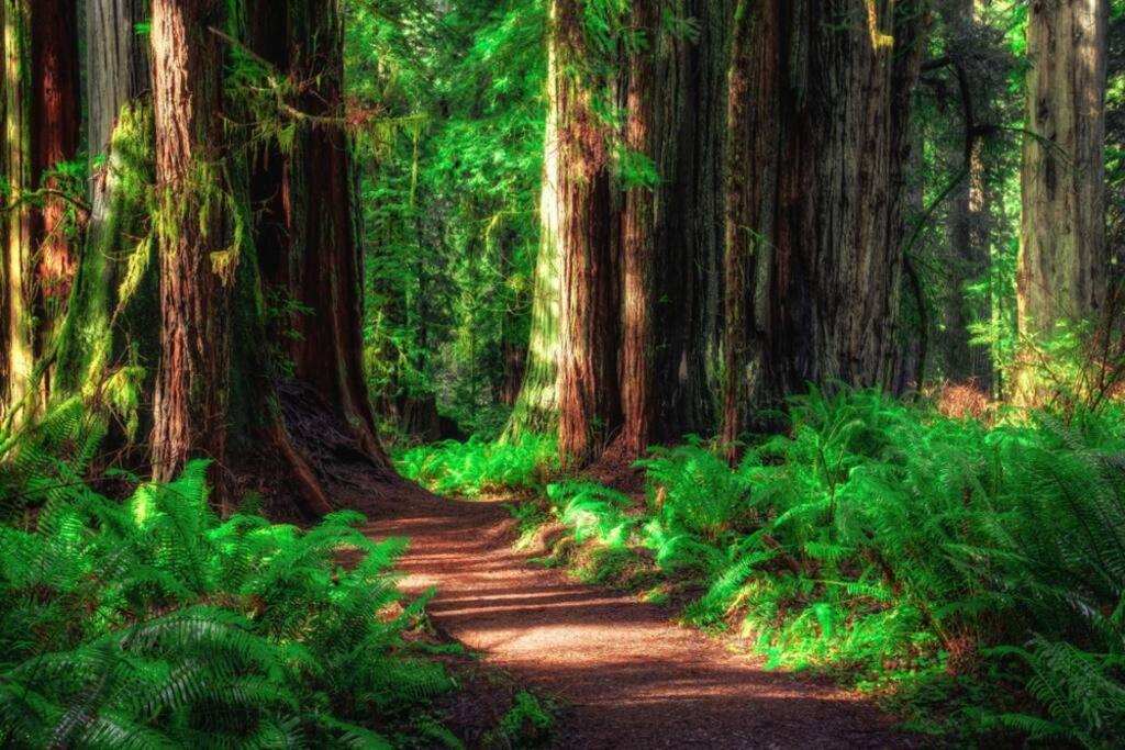 Bear Mountain - Suite 6 Grants Pass Buitenkant foto